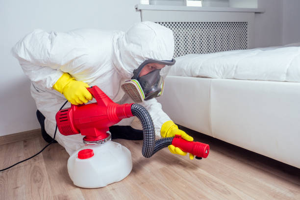Best Termite Control Services  in Kimberly, ID