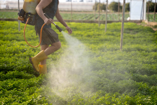 Best Exterminator Services  in Kimberly, ID