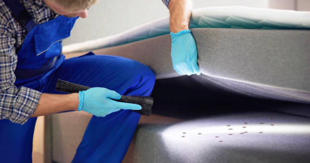 Best Residential Pest Control  in Kimberly, ID