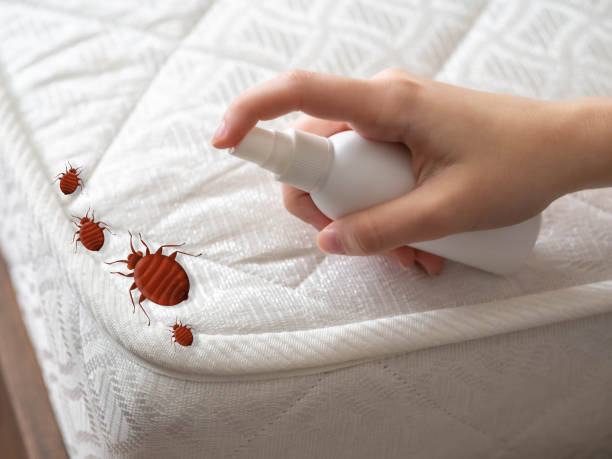 Best Pest Control for Restaurants  in Kimberly, ID