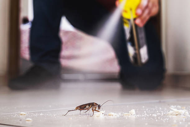 Best Wasp Removal Services  in Kimberly, ID