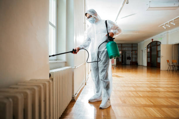 Best Termite Control Services  in Kimberly, ID