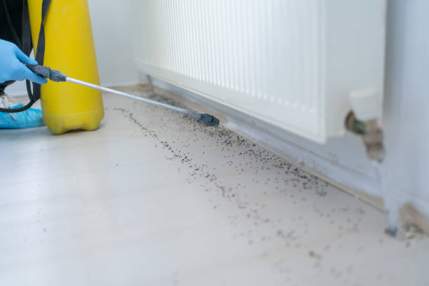 Best Commercial Pest Control Services  in Kimberly, ID