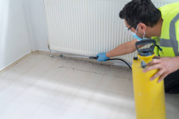 Best Bed Bug Extermination  in Kimberly, ID