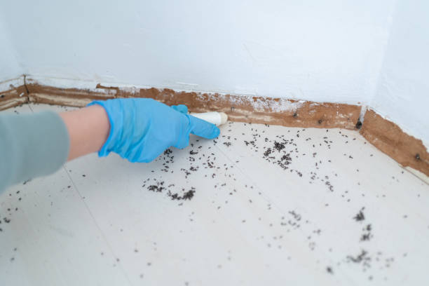 Best Best Pest Control Companies  in Kimberly, ID