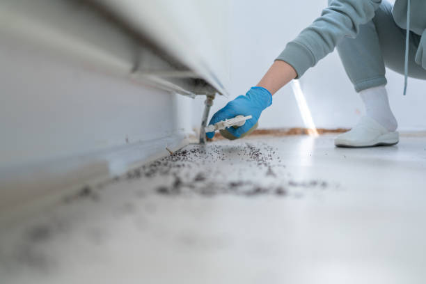 Professional Pest Control in Kimberly, ID
