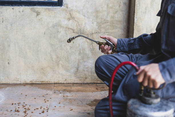 Best Residential Pest Control  in Kimberly, ID