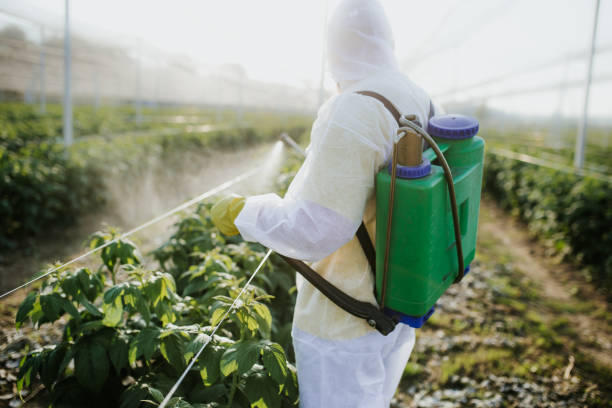 Best Pest Inspection Near Me  in Kimberly, ID